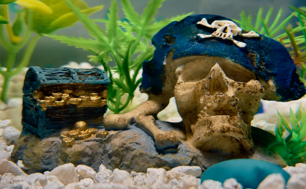 Fish Tank with treasure chest. Shrimp hiding behind skull face. 
